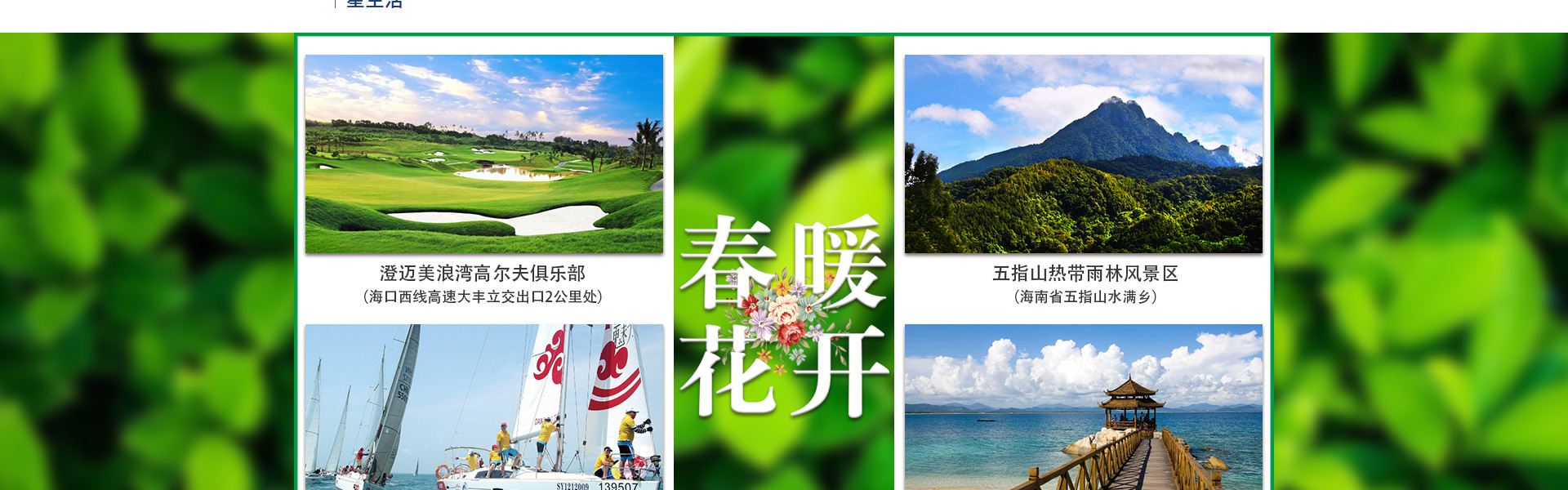 海南碧桂园专题