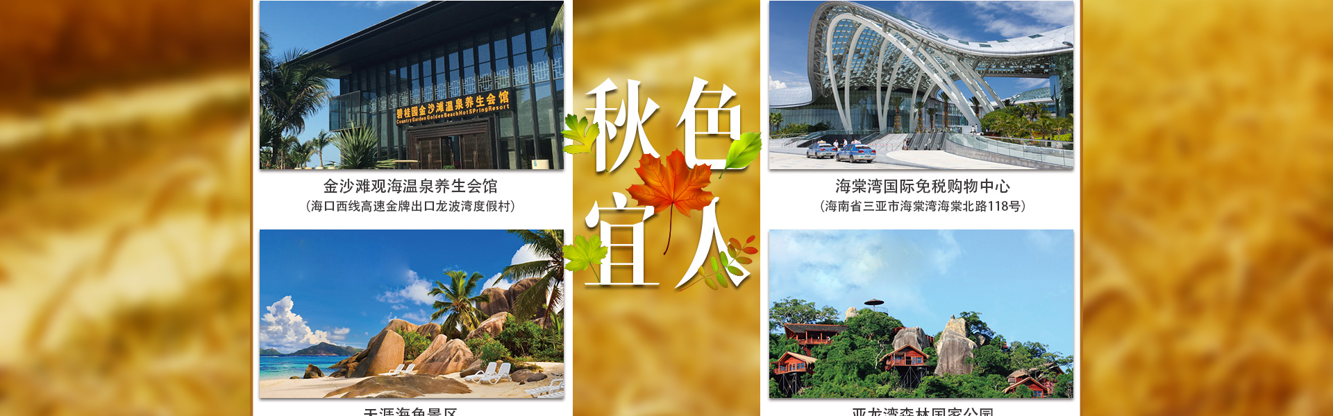 海南碧桂园专题
